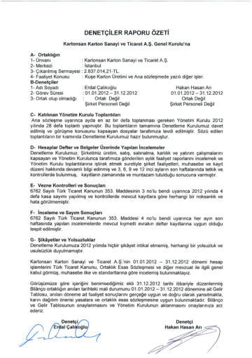 Kartonsan Denetçi Raporu 2012