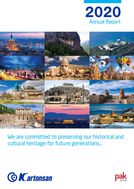 Annual Report 2020