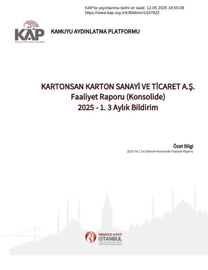 Ara Dönem Konsolide Faaliyet Raporu 2025-1