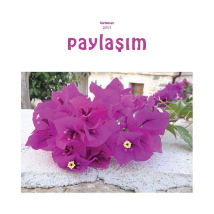 Paylaşım 2015/1