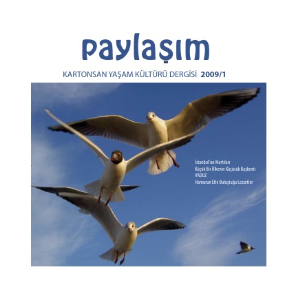 Paylaşım 2009/1